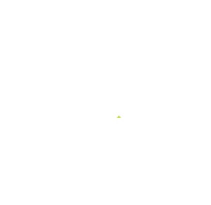 LS Retail